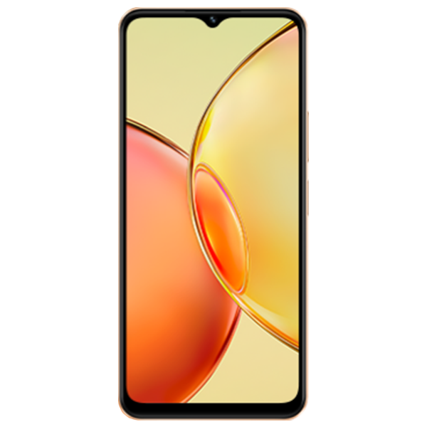 Vivo Y17s Price in Pakistan, Specs & Features